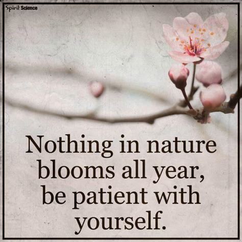 “nothing In Nature Blooms All Year Be Patient With Yourself” R