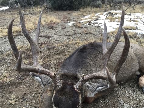 New Mexico Mule Deer Hunting Photo Gallery From Handa Outfitters