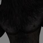 SexLab Werewolves Models Textures LoversLab