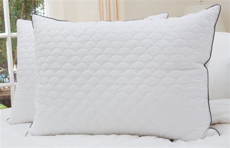 Cozy Classics Down Alternative Quilted Bed Pillow