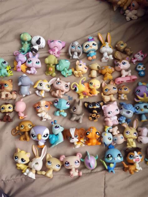 What types of pets are allowed? 54 different types of Littlest Pet Shops / LPS | Pet shop ...