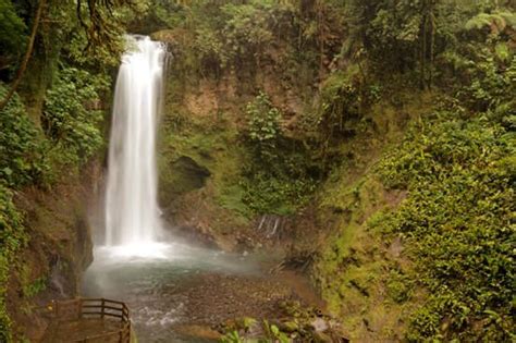 8 Costa Rica Waterfalls You Must Visit Costa Rica Experts