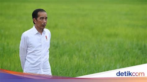 Jokowi Ajak Pemuda Jadi Petani Kementan Pacu Modernisasi Pertanian