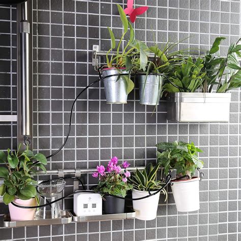 9 Smart Plant Watering System Ideas For Easier Gardening