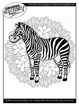 Coloring Zebra Animals sketch template