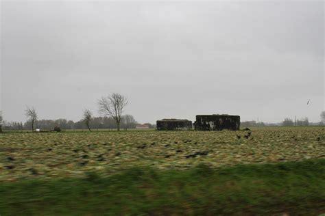 Flanders Fields Strikes Back With The British Army In Flanders And France