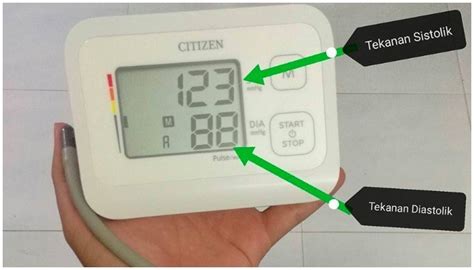 Biasanya tekanan darah dikendalikan seiring perubahan posisi tubuh. "Check" Tekanan Darah Tinggi Di Rumah Dan Bagaimana Teknik ...