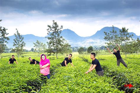 Contoh Gambar Montase Pemandangan Ruang Ilmu