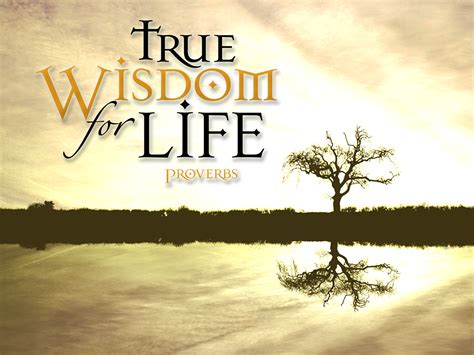 Ambassador For Jesus Love And Seek True Wisdom