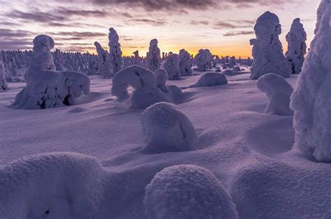 Polar Nights And Two Months Sun Holiday Started In Lapland Next