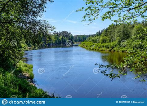 Calm River With Reflections Of Trees In Water In Bright