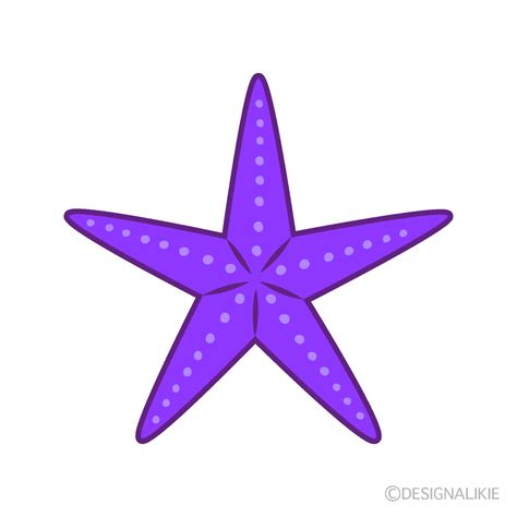 Purple Starfish Clip Art Free Png Image｜illustoon