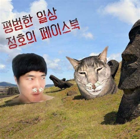 페이스북 로그인 구글 로그인 트위터 로그인. WIKITREE | "책임지시고 증명하시길" 주작 논란에 일침 가한 ...
