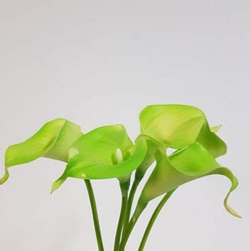 Calla Lily Green Real Touch Desflora