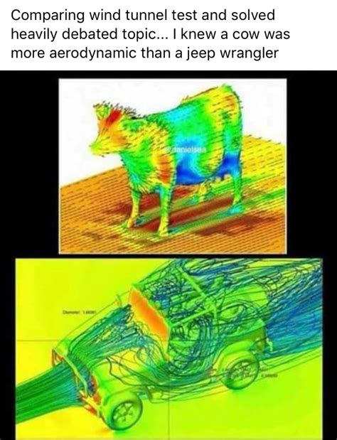 One of the most intelligent breeds of cows are the bullfighting ones, aka toros de lidia. Is a cow more aerodynamic than a Jeep Wrangler? - General ...