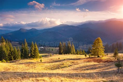 Magical Mountains Landscape Stock Photo Image Of Meadow Season