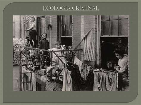 Criminologia Escola De Chicago