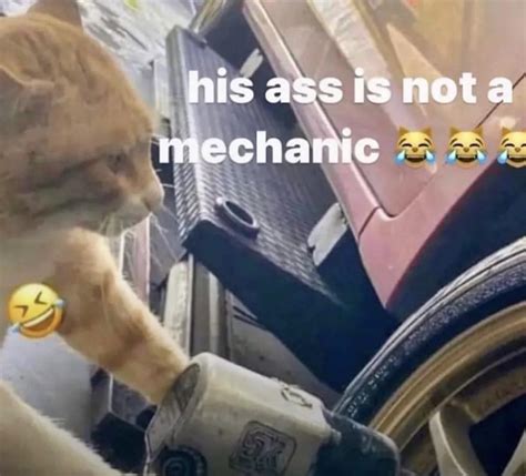 His Ass Is Not A Mechanic Lmaoooo R Catmemes
