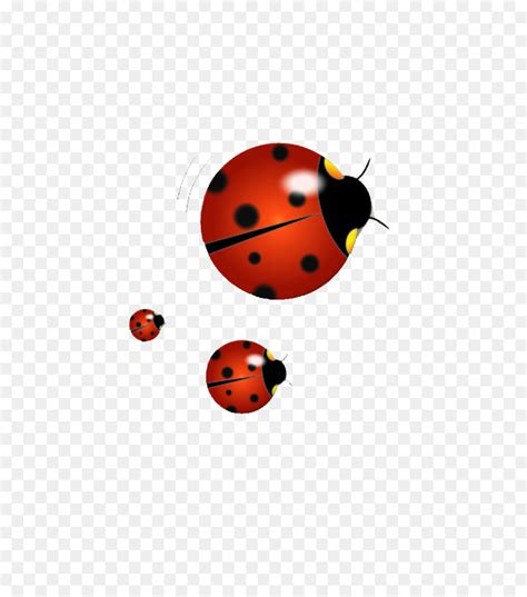 Menggambar ladybird konten gratis ladybug silhouette s presentasi kartun png pngegg. Kumbang Kecil, Serangga, Dikemas Postscript gambar png