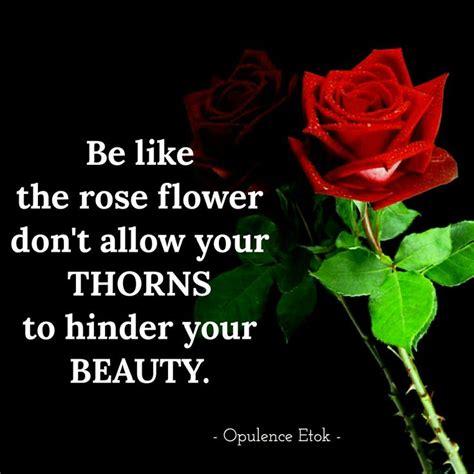 Two Roses With The Words Be Like The Rose Flower Dont Allow Your Thorns To Hinder Your Beauty