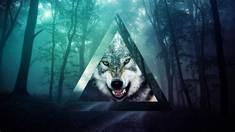 Wild ,wolf ,weißer wolf wallpaper und mehr beste hd hintergrundbilder, kostenlose desktop hintergrundbilder, widescreen wallpapers. memes, Triangle, Wolf, Forest Wallpapers HD / Desktop and ...