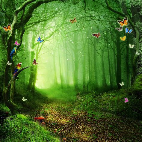 Photo Backdrop Forest 6x8ft Photo Backdrop Vinyl Alice