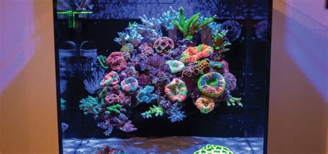 Scapespiration What Are Your Favorite Aquascapes Reef2reef