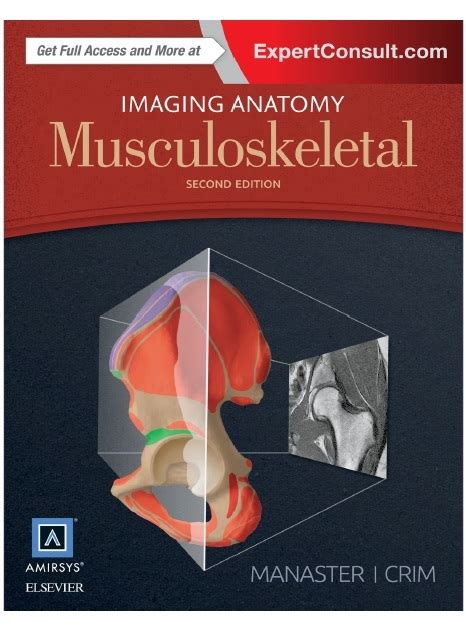 Musculoskeletal Anatomy