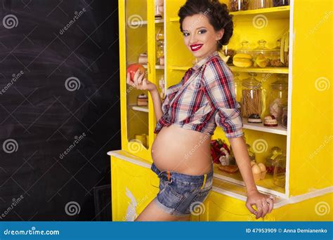 Beautiful Brunette Woman On A 7th Month Pregnancy In Plaid Shirt Stock