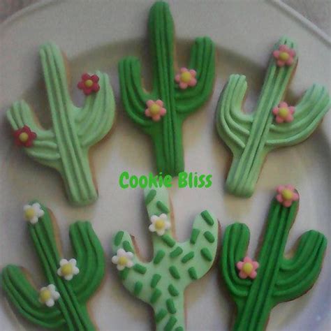 12 Cactus Cacti Sugar Cookies Decorated Cookies Wild West Sugar