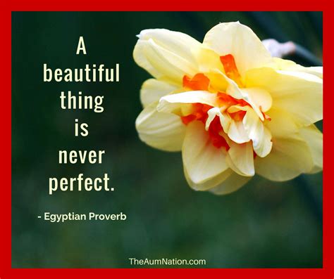 A Beautiful Thing Is Never Perfect ~ Egyptian Proverb Perfection
