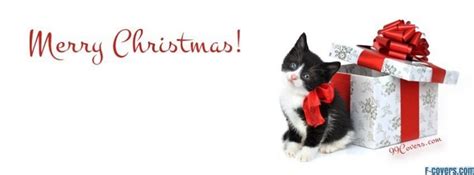 Kitten Christmas Present Facebook Cover Timeline Photo Banner For Fb