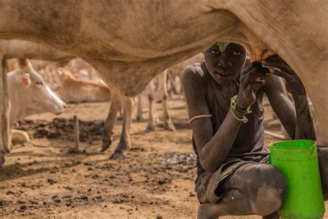 Fotos La Tribu Dinka De Sudán Hoy