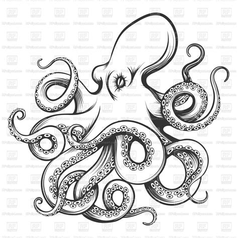 Octopus Vector Art At Collection Of Octopus Vector
