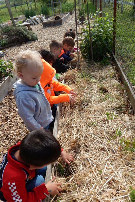 97% of kids who vape use flavors. EASY! 5 Steps to Planting a Sensory Garden for Kids ...