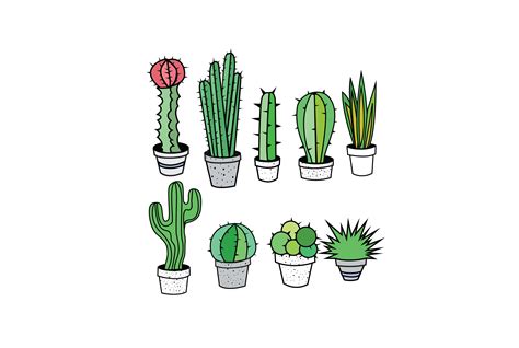 Cactus And Succulents Clipart ~ Graphics ~ Creative Market