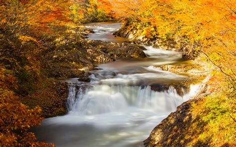river, Autumn, Nature Wallpapers HD / Desktop and Mobile Backgrounds