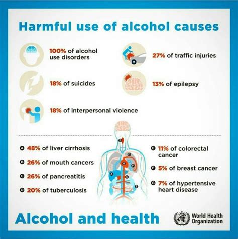 Harmful Use Of Alcohol Causes Health Facts Food Pyramid