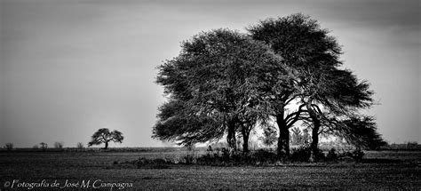 Fotografía Paisaje De Campo En Blanco Y Negro El Blog Del Profe José