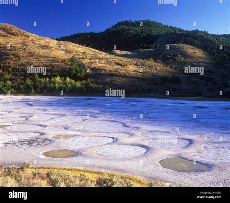Spotted Lake South Okanagan British Columbia Canada Stock Photo Alamy