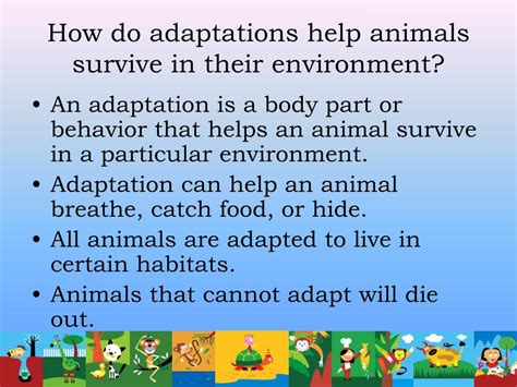 Ppt Animal Adaptations Powerpoint Presentation Free Download Id652351