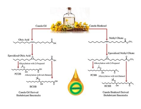 Canola oil is a vegetable oil with a neutral flavor and high smoke point (400°f). Lubricants | Free Full-Text | Chemical/Structural ...
