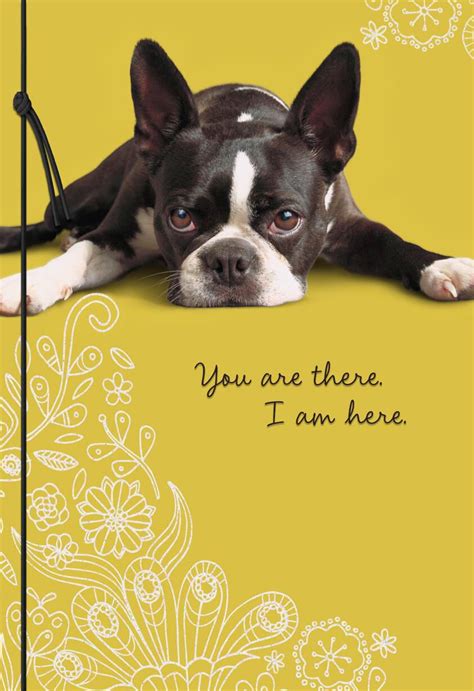 You Are There Sad Puppy Miss You Card Greeting Cards Hallmark