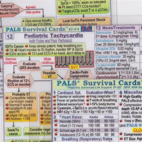 Pals Survival Card Etsy