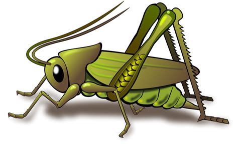 Cricut explore air 2 machine bundle with tool kit and vinyl in assorted colors. Free Clipart: Cricket | Dux Phoenix