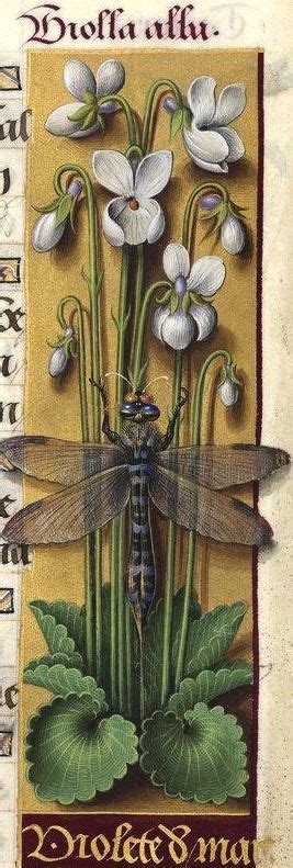 26 Flowers From Medieval Manuscripts Ideas Medieval Manuscript Book