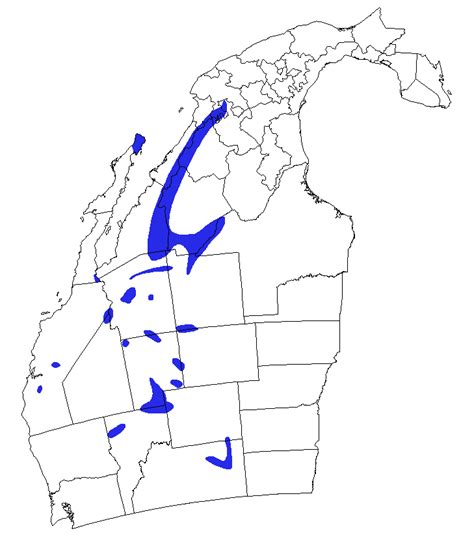Breeding Range Of The Western Yellow Billed Cuckoo In North America And