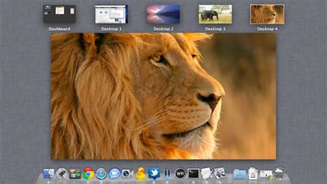 Top 36 Imagen Set Mac Background Vn