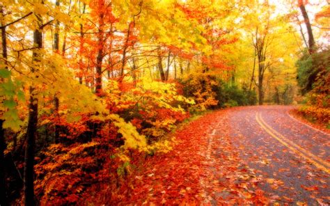 We're talking about the desktop background image on your computer, which we'd bet is either an old photograph of mount fuji, a sandy desert, or a country road. Autumn Pictures For Desktop Backgrounds - Wallpaper Cave