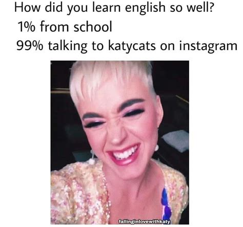 katy perry meme katy perry katty perry katy